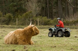  Conozca de cerca la vida salvaje local 